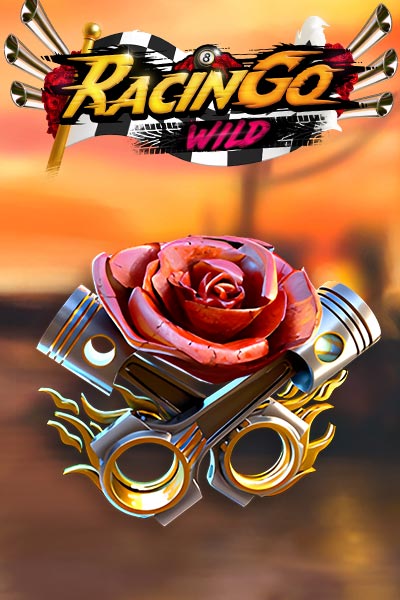 Racingo Wild FBM Easy Money Link