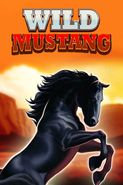 Wild Mustang